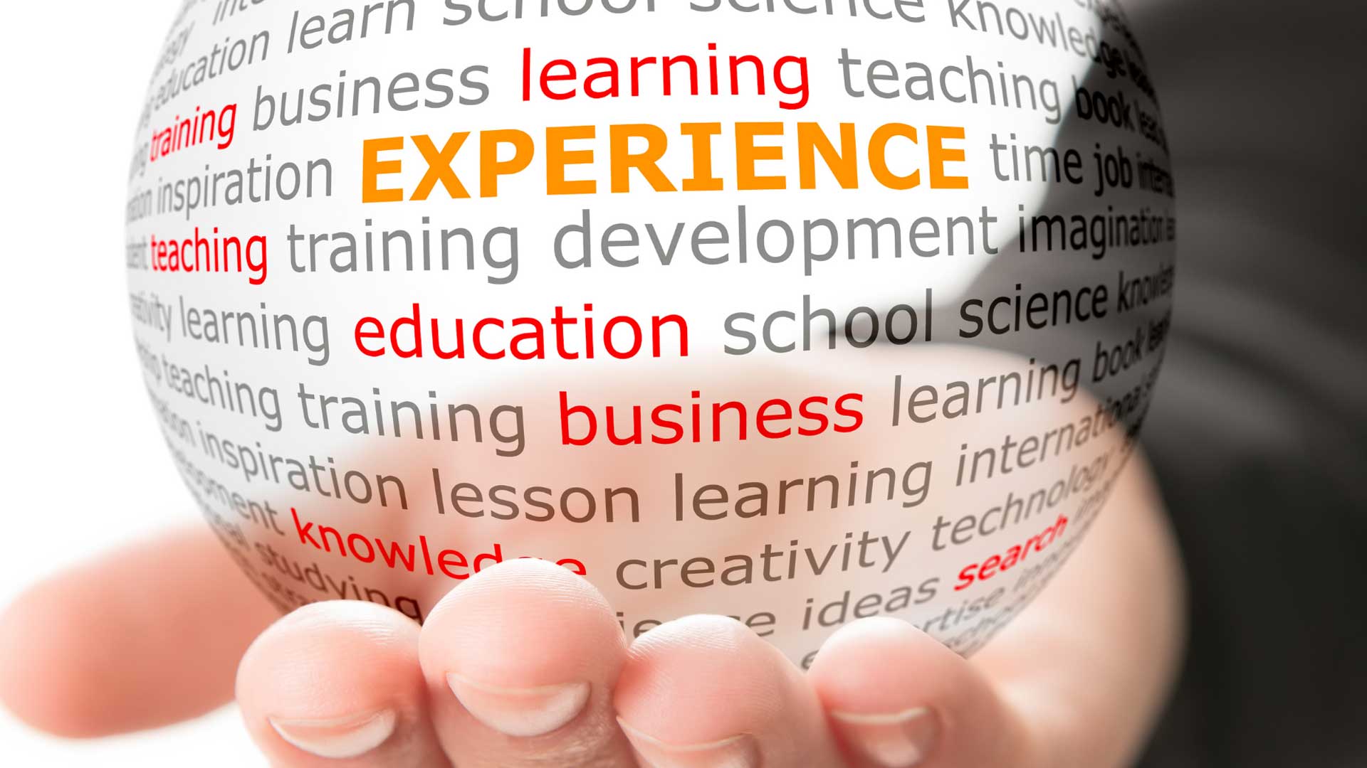 Experience Matters—But How You Apply It Matters More